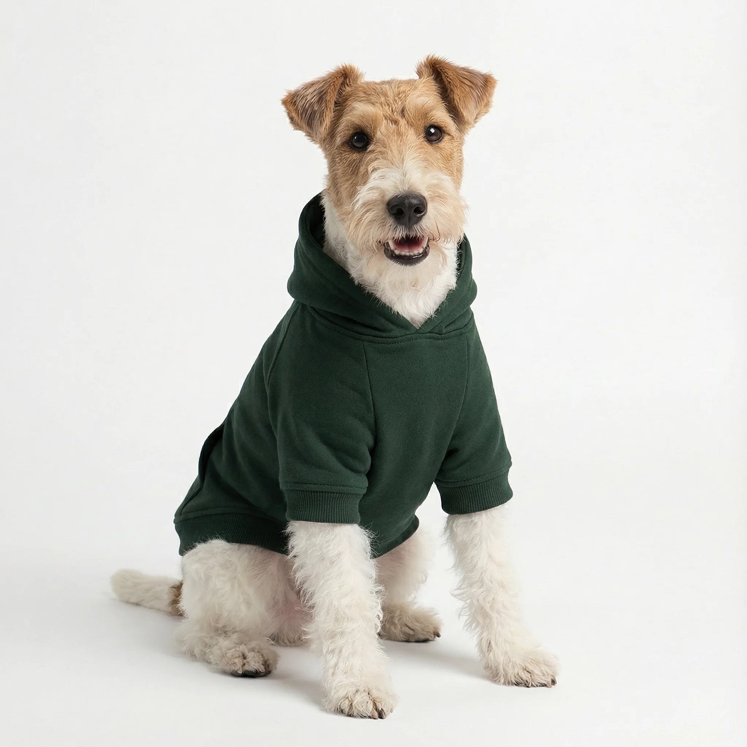 Custom Printed Essential Dog Hoodie