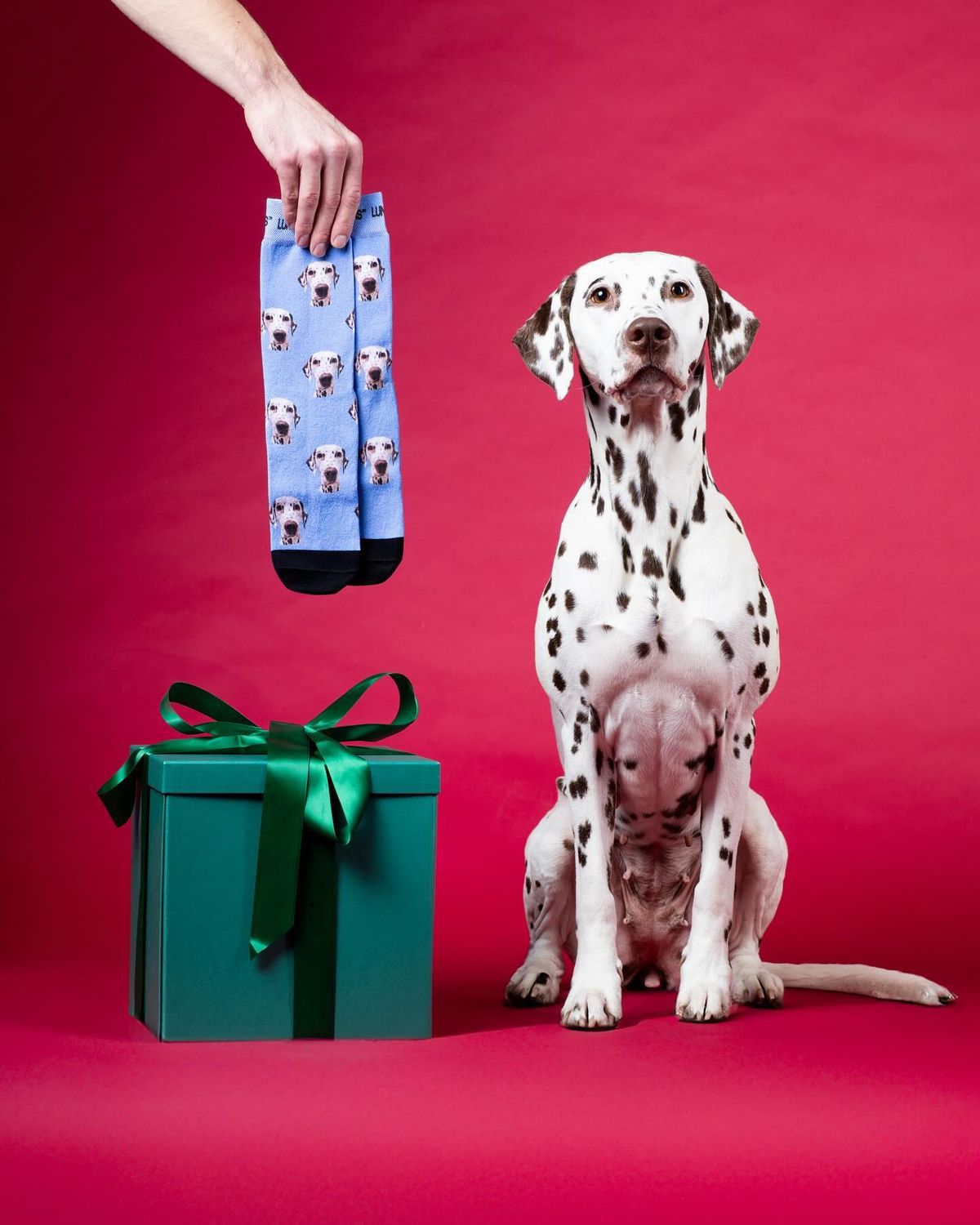 Custom Printed Human Socks Series