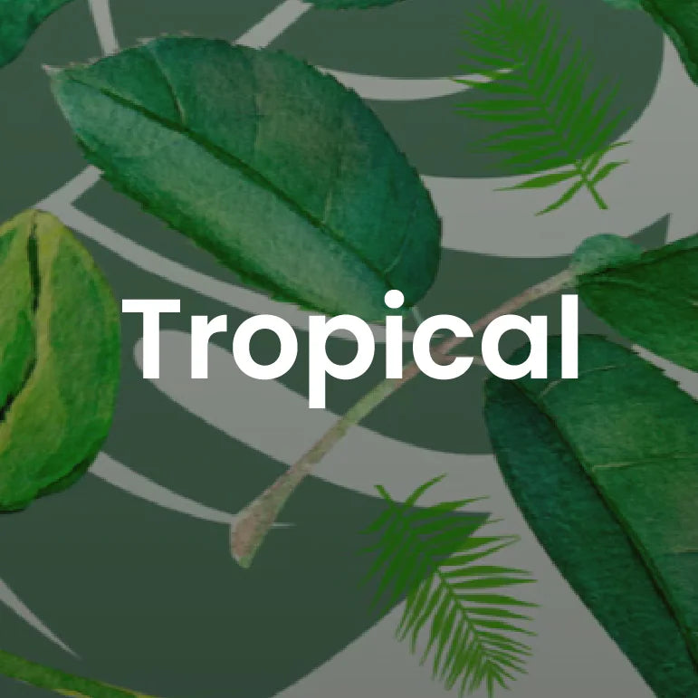 Tropical