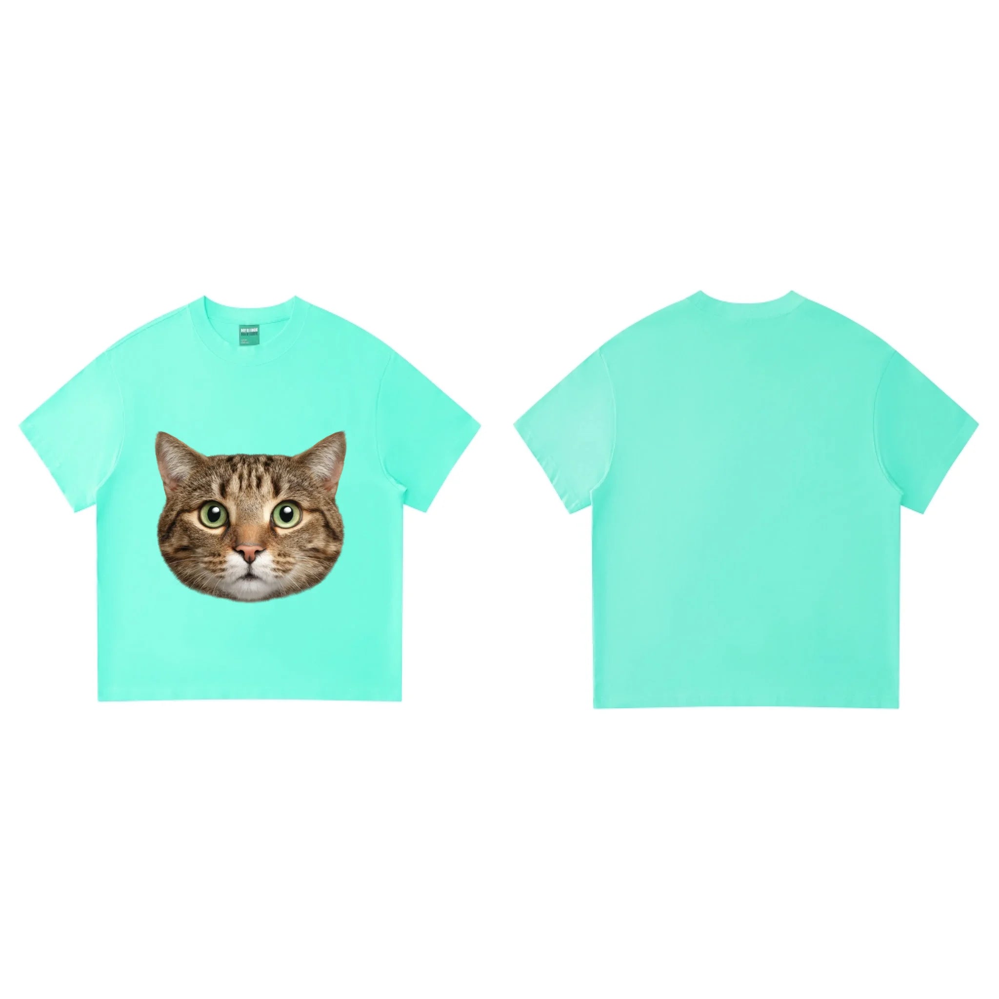 Light Green正反两面