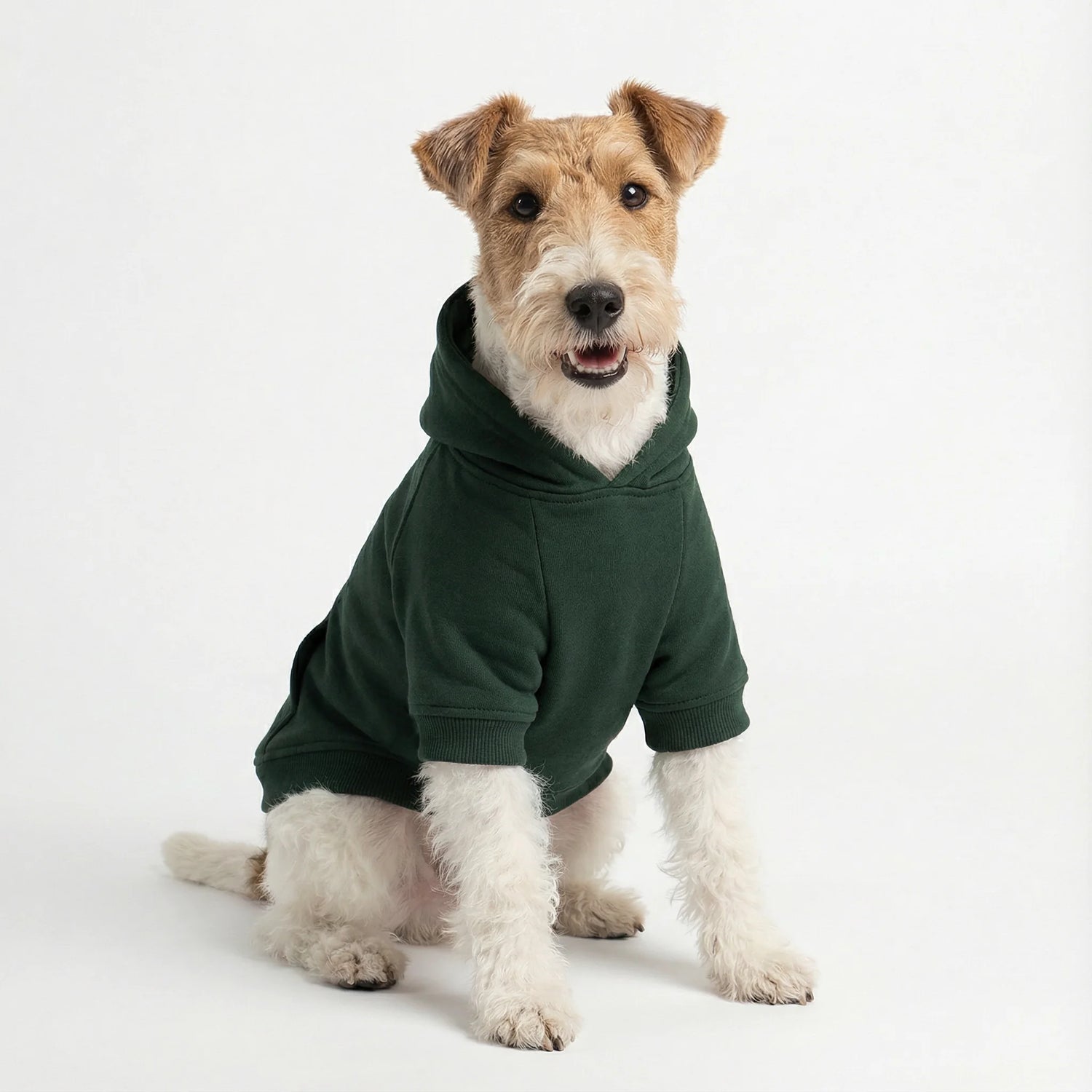 Custom Printed Essential Dog Hoodie