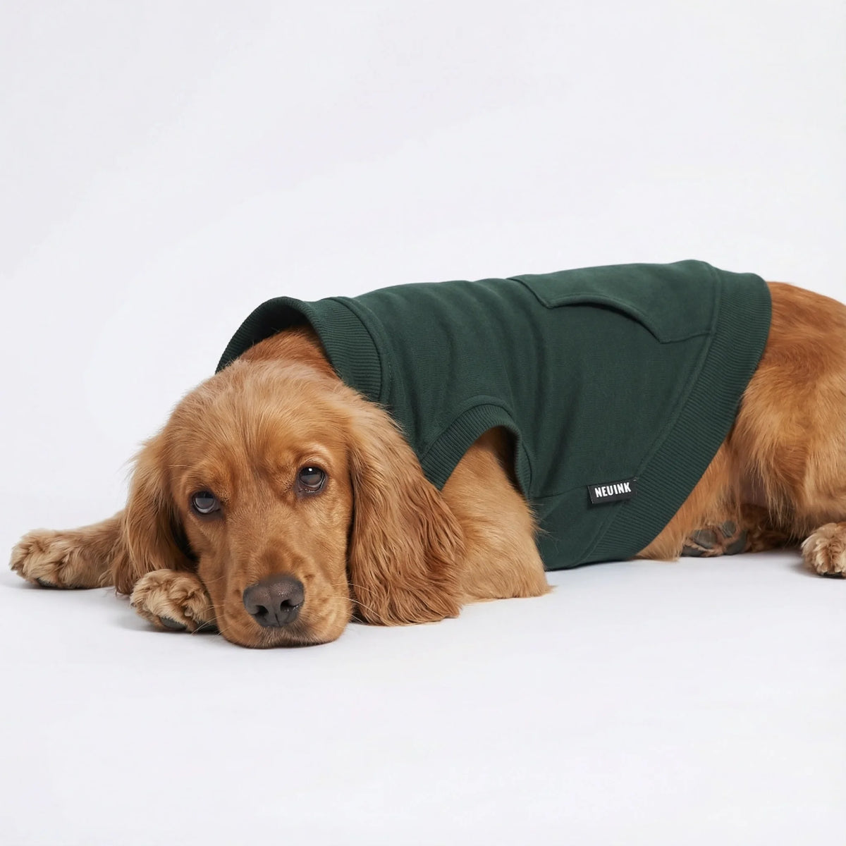 微信图片_20260107103659_2068_155