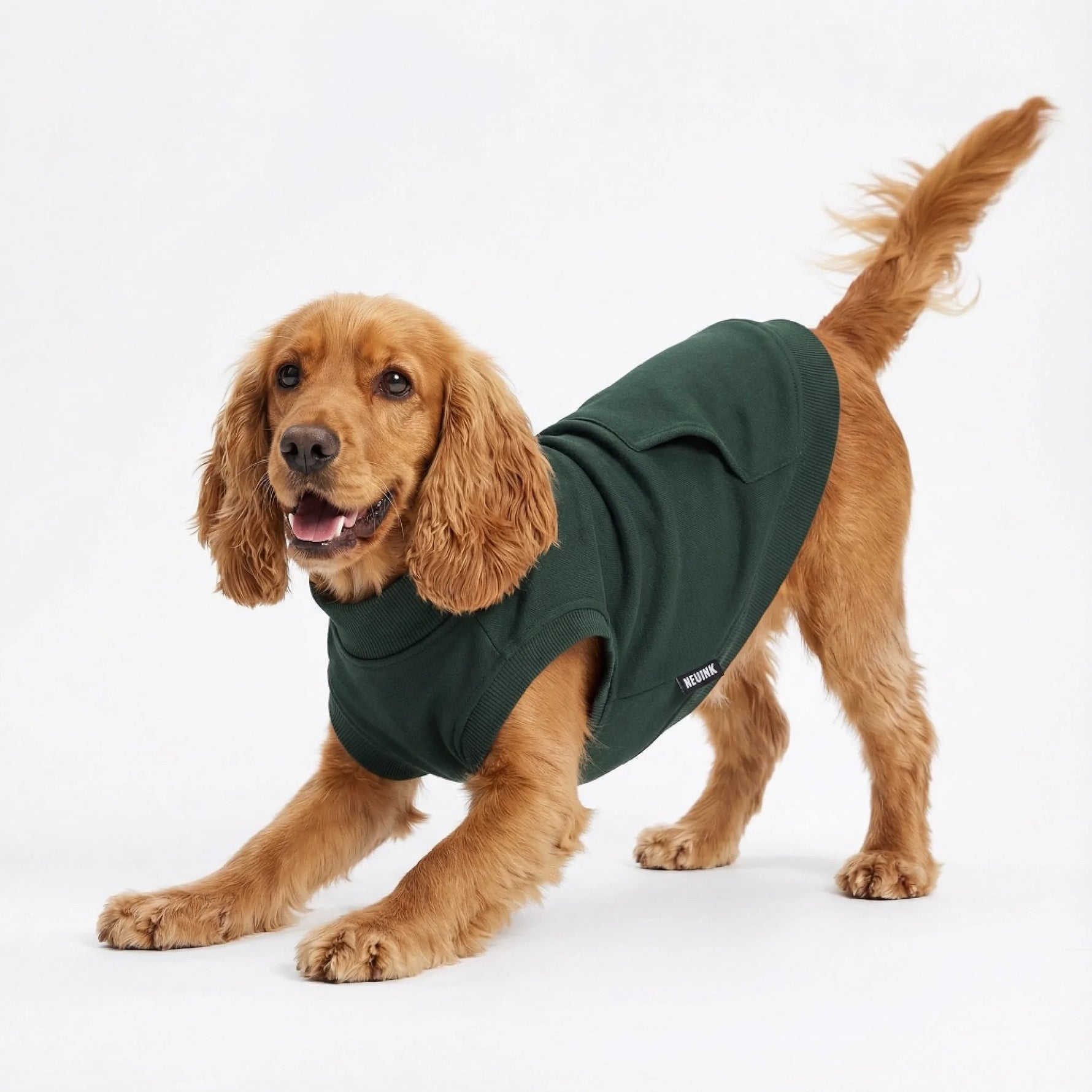 微信图片_20260107103703_2071_155