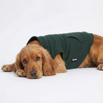 微信图片_20260107103659_2068_155