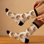 上脚图样机最底图